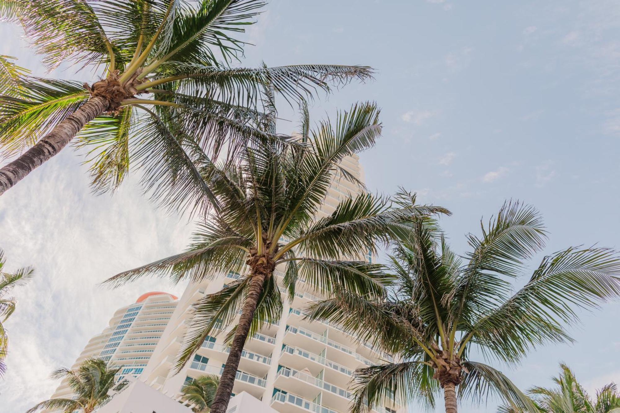 Rock Apartments By Lowkl Miami Beach Esterno foto